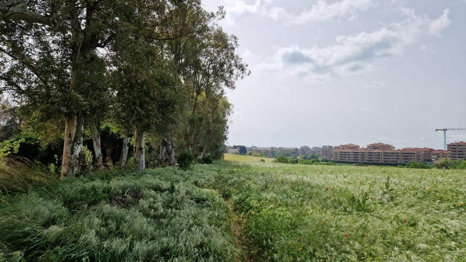 La Stanza Degli Abeti Blu Habitación en casa particular *
